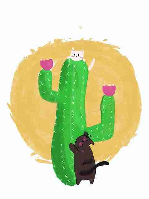 好色先生频道高赞片段合集｜频道风格重塑计划再次上榜热推