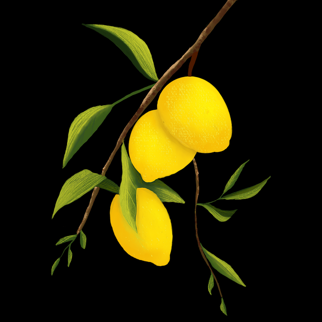 onlyfnas网址界面交互升级｜平台订阅逻辑剖析视觉体验更顺畅