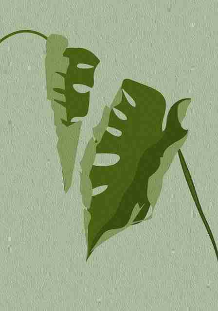 onlyfnas会员专属功能详解｜创作者多平台联动分析体验再升级