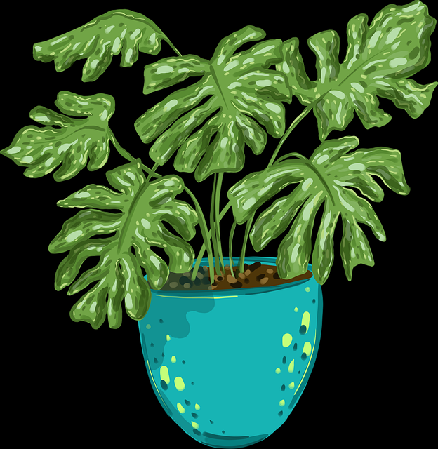 好色先生TV站内视觉榜排行｜浪漫气质视觉表达作品多次登顶